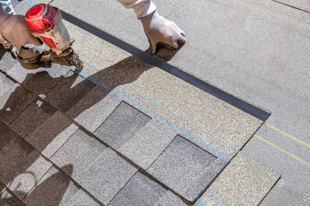 Best Roof Maintenance Services  in Lake Royale, NC